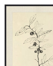 Load image into Gallery viewer, Floral Study 1