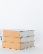 Load image into Gallery viewer, Tan Scripted Book