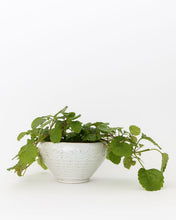 Load image into Gallery viewer, Iniko Sand Pot
